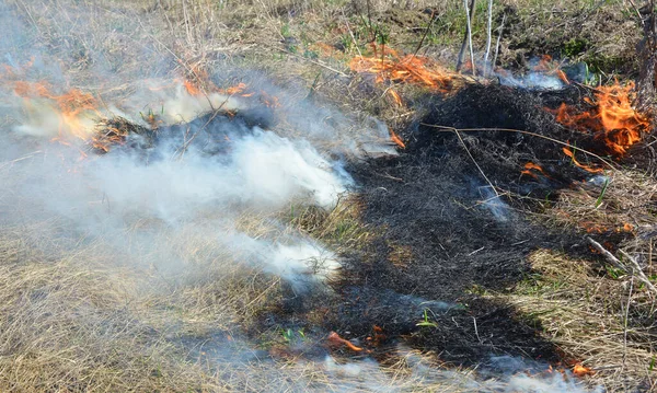 Eliminación Paja Con Fuego Hierba Ardiente —  Fotos de Stock