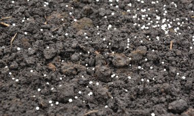 Tarım ve sebze bahçelerindeki mahsul verimini artırmak için toprağı yeniden doldurmak için mineral gübreleri uyguluyorlar.. 