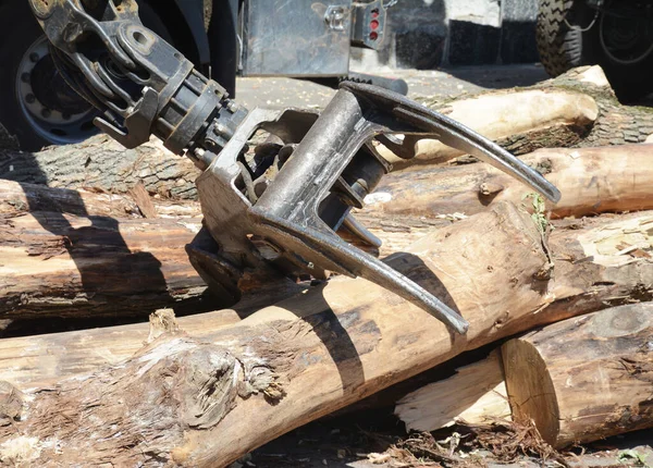 A close-up on log, knuckleboom loader, swing machine forestry equipment is handling logs.