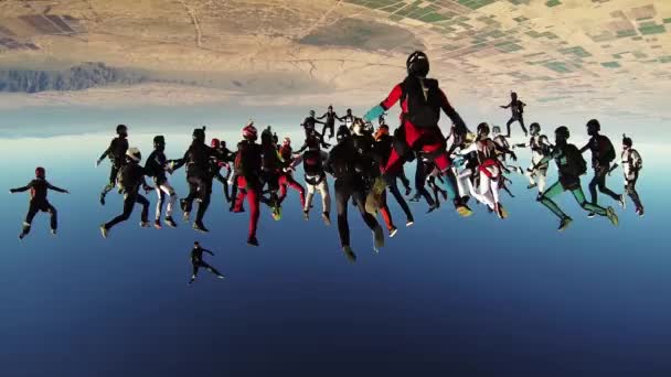 RAVENNA, ITALIA - 2 GIUGNO 2014: Molti paracadutisti fanno grandi figure nel cielo serale nuvoloso. Estrema. Tenersi per mano . — Video Stock