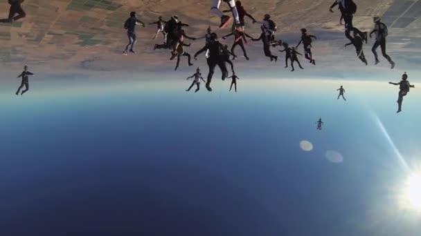 RAVENNA, ITALY JUNE 2, 2014: Banyak skydivers membuat formasi di langit biru. Ekstrim. Berpegangan tangan. Sinar matahari . — Stok Video