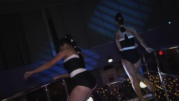 Brunette go go girls in black bikini sexy dance on stand in nightclub. Booty. — Stock Video