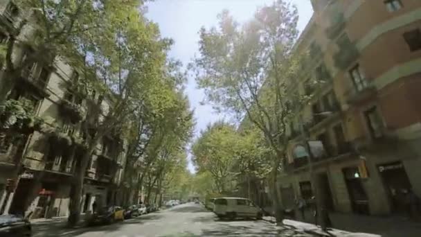 BARCELONA, ESPAÑA - 7 DE JUNIO DE 2015: Vista en carretera con callejón verde en los rayos de sol. Día soleado de verano en la ciudad. Coches aparcados. Gente — Vídeos de Stock