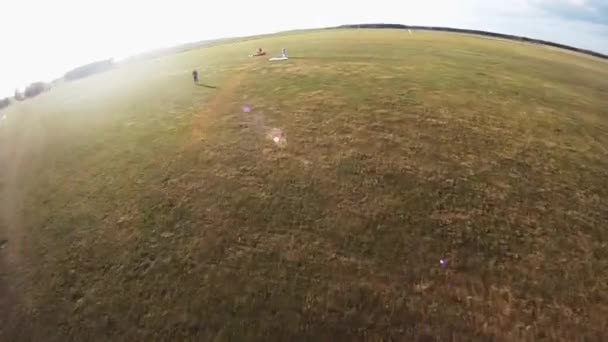 Professionele parachute jumper landing op groene veld. Extreme. Zonnige dag. — Stockvideo