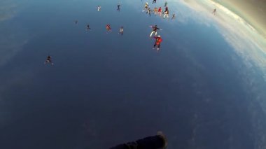 Profesyonel skydivers mavi gökyüzü düşüyor. Adrenalin. Yaz. Oluşumu olun