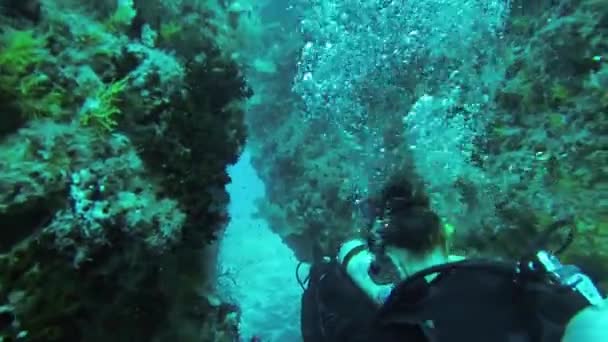 Dykare simmar under vattnet mellan korallrev. Blått vatten. Djup. Många fiskar. — Stockvideo