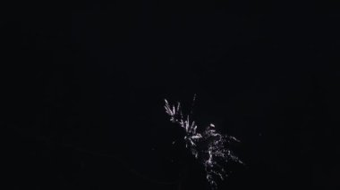 Multi patlayan havai fişek gece gökyüzünde renkli. Havaya uçur. Aydınlatmaları. Parlayan. Kutlama