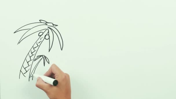 Hand drawing island with palm trees, sun and beach whiteboard — Stock Video