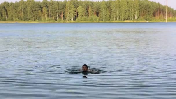 Homem adulto nadando no lago na floresta verde no verão dia ensolarado. Fim de semana. Natureza. Recreação — Vídeo de Stock