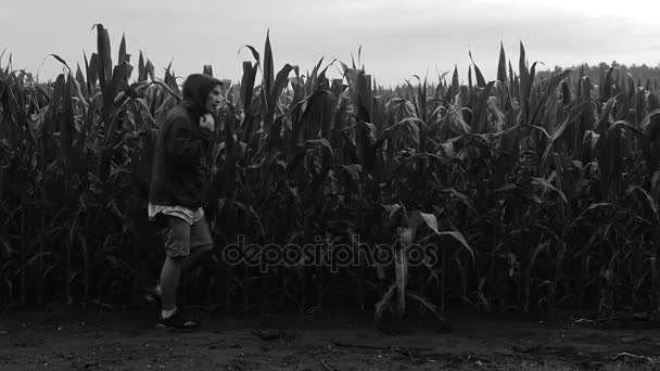 Mladý muž v hoody chodit na pole s kukuřicí rostlinami. Černá a bílá. Abstrakt — Stock video