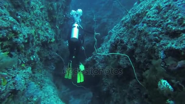 Divers swim underwater with aqualungs between reefs. Sealife. Deepness. Bubbles — Stock Video