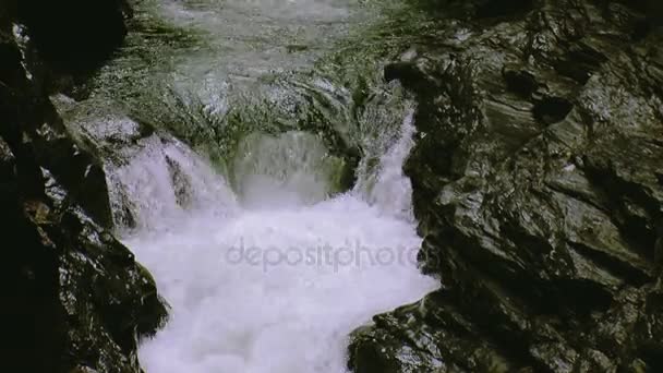 A água do fluxo flui das rochas para o buraco. Salpicos. Dia de verão. Paisagem. Natureza. Pedras — Vídeo de Stock