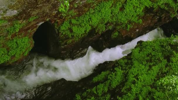 Rio flui entre rochas em montanhas cobertas por vegetação. Água limpa. Salpicos. Corrente. Natureza — Vídeo de Stock