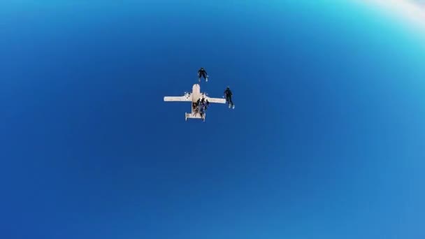 Arizona, Usa - zm. 5 lipca 2015: Profesjonalnych skoczków skok z samolotu, aby formacja w błękitne bezchmurne niebo. — Wideo stockowe
