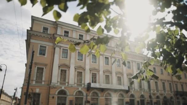 Долли снимок классического здания в солнечный день, листья на переднем плане — стоковое видео