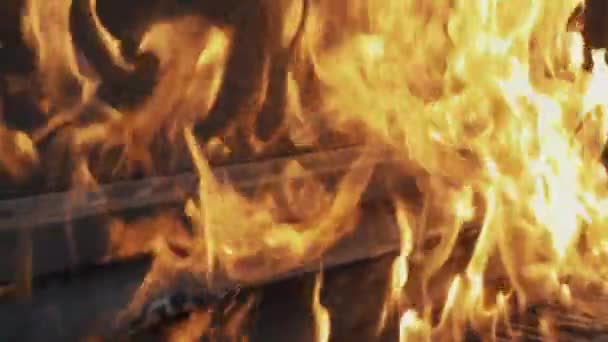 Slowmotion close up high flames burning piano and tree in forest — Stock Video