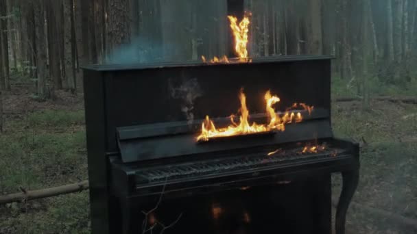 Tikje hoge vlammen brandend zwarte piano en boom stam in bos bos — Stockvideo