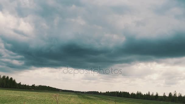 Повільне темно-сині громові хмари над лугом змучені лісами перед дощем — стокове відео
