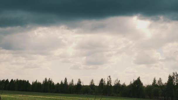 Nubes oscuras en cámara lenta sobre un campo de hierba rodearon el bosque antes de la lluvia — Vídeos de Stock
