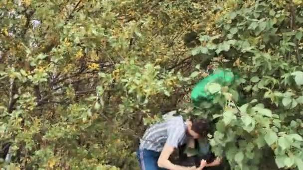 Chicos que salen sacudiendo arbustos con bote de basura y monitorear la tableta en el día de verano — Vídeos de Stock