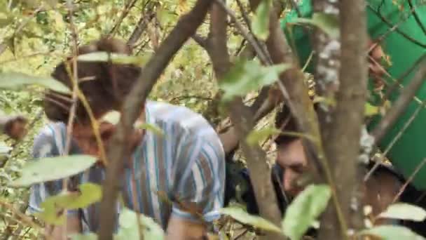 Dois homens na floresta tocam perigo sinal de perigo e sendo atingido pela eletricidade — Vídeo de Stock