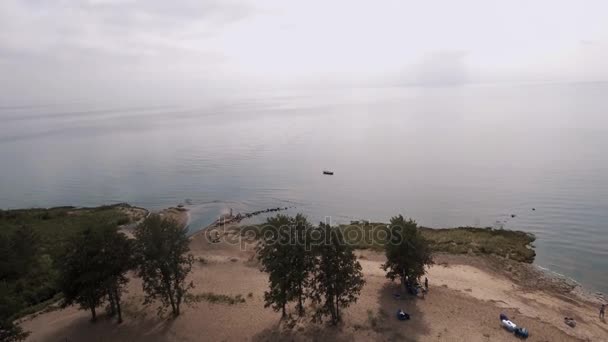 Повітряний постріл над піщаним берегом моря з деревами в сонячний день в літній час — стокове відео