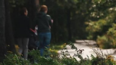 Kızlar kaç çocuk ve bebek arabası ormandaki bir yol boyunca yürüyüş