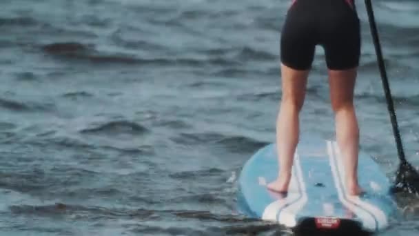 Sint-Petersburg, Rusland - 28 augustus 2016: Topsporters in een volledige badpak staande rijdt een surfplank met behulp van de peddel — Stockvideo