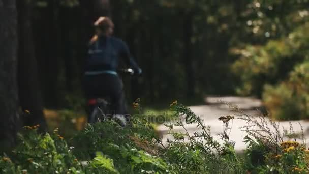 Flores silvestres frente a un camino de asfalto en un bosque. Pareja paseos en bicicleta — Vídeos de Stock