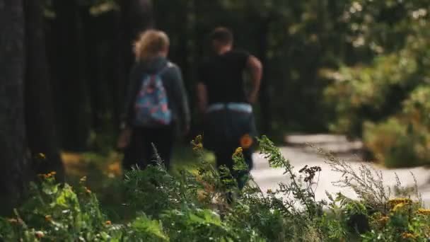 Flores silvestres frente a un camino de asfalto en un bosque. Pareja caminando por — Vídeos de Stock