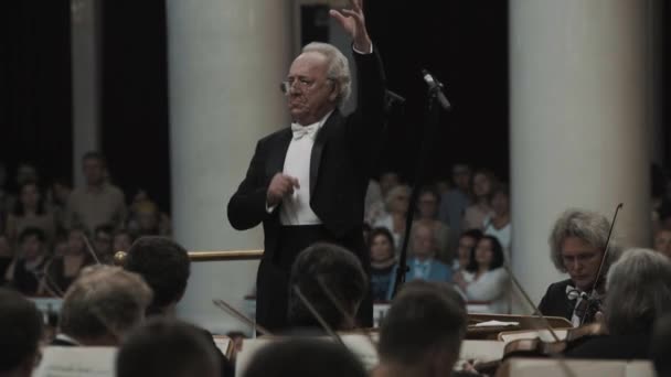 SAINT PETERSBURG, RUSSIA - JUNHO 23, 2016: Maestro de cabelos brancos dirigindo orquestra de cordas no salão de música clássica — Vídeo de Stock