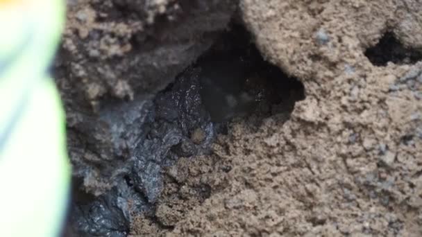 Water dripping in dirt puddle. Worker in hard hat stand next to it. Slowmotion — Stock Video