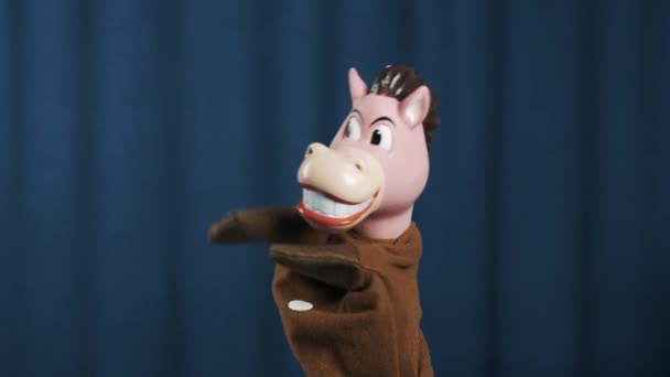 Ló-báb pénzt feldobás gesztus, és rázza a fejét a kék háttér — Stock videók