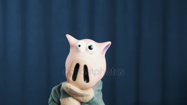 Pig hand puppet make money tossing gesture on scene with blue background — Stock Video