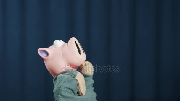 Pig main marionnette penser et commencer à s'inquiéter sur scène avec fond bleu — Video