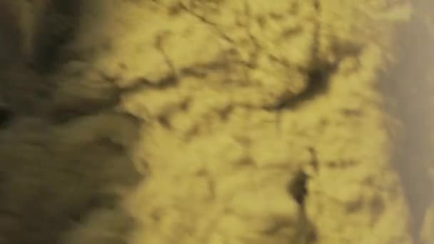 Moulage en masse effiloché de sable cinétique jaune par lames métalliques industrielles 