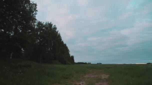 Route de campagne le long de la forêt à travers les prairies verdoyantes tôt le matin d'été — Video