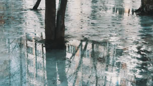 Unrecognisable kids walks on melting ice water puddles under trees in city park — Stock Video