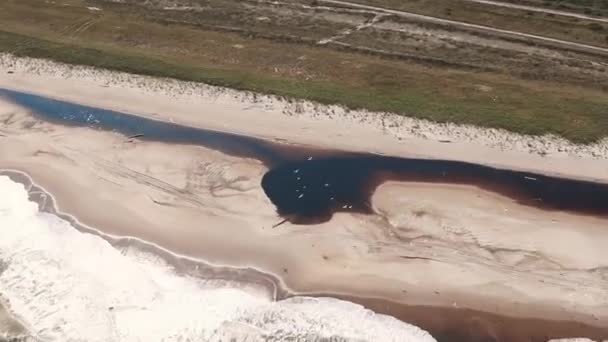 Vista aérea do mar inundado costa, gaivotas rebanho voando sobre — Vídeo de Stock