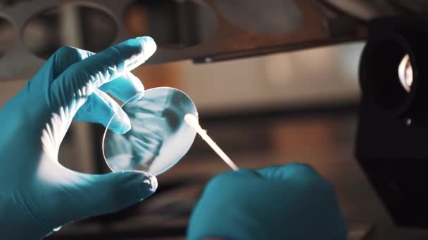 Lentille de nettoyage d'ingénieur avec coton-tige lors de la fabrication dans une ampoule lumineuse — Video