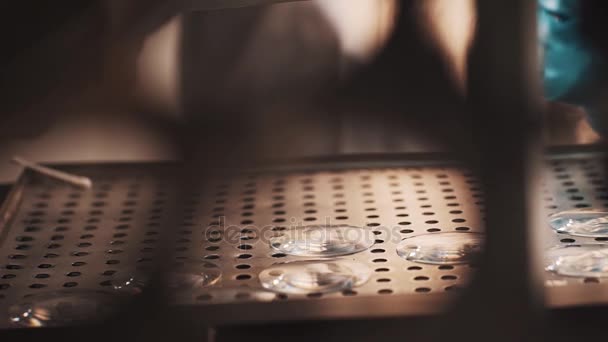 橡胶手套的工人将穿孔桌子的镜头放入金属圆盘 — 图库视频影像