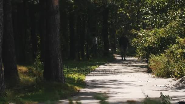 Pareja camina hacia la cámara a lo largo de un camino de asfalto en un bosque en un día ventoso — Vídeo de stock