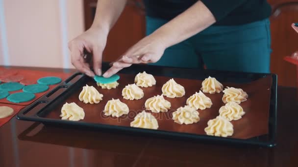 La femmina di pasticcere mette cerchi di pasta azzurri su pile alla panna su vassoio — Video Stock