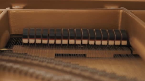 Wooden hammers hitting on strings, playing piano music — Stock Video