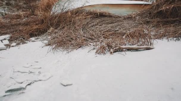 覆盖在雪里翻了船上结冰的湖岸边的芦苇丛中 — 图库视频影像
