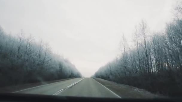 Dashcam vue, la conduite du véhicule sur l'asphalte campagne route à travers la forêt — Video