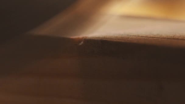 Δισκοπρίονο κοπής κομμάτι ξύλου στο Ξυλουργικό εργαστήρι — Αρχείο Βίντεο