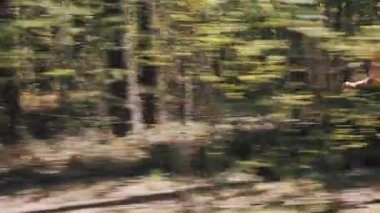 Genç adam bir şey uzak ormanın içinde çalışan hızlı korkuttu