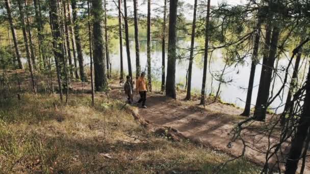 Δύο άνδρες φίλοι βόλτες στο δάσος μονοπάτι και ξεκινά υποστηρίζοντας ηλιόλουστη ημέρα — Αρχείο Βίντεο