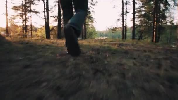 Smal mannen gå igenom skogen nära lake på sunset — Stockvideo